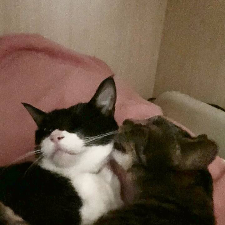 3b61904a af5e 42d1 8f79 389f1fc7fc60 1649743807467