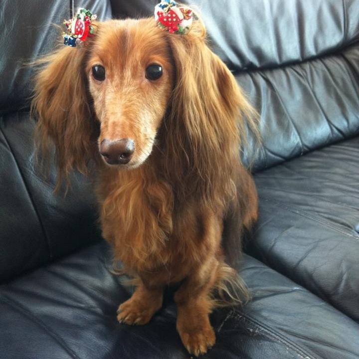 3b6190f4 2227 4035 9866 50396341c037 1601848736609