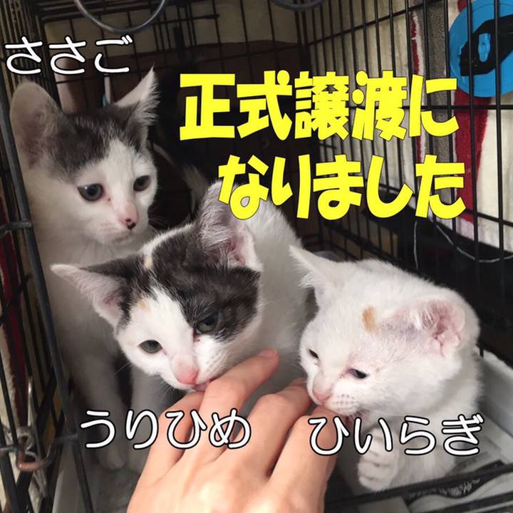 3b619125 cf26 4426 9783 0ba47b4b5e15 1558421726020