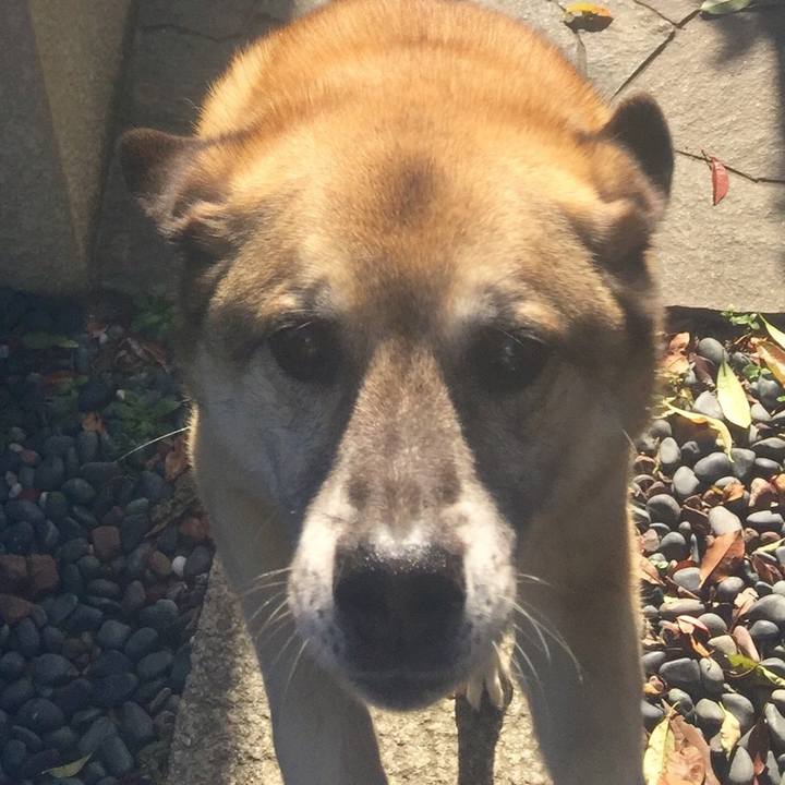 3b619509 f14a 4e78 9d6f 7930539cb149 1525504144235