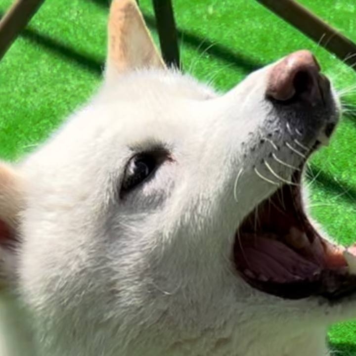 3b61c8be 7210 4724 b152 6c4f07e6616f 1714656561032