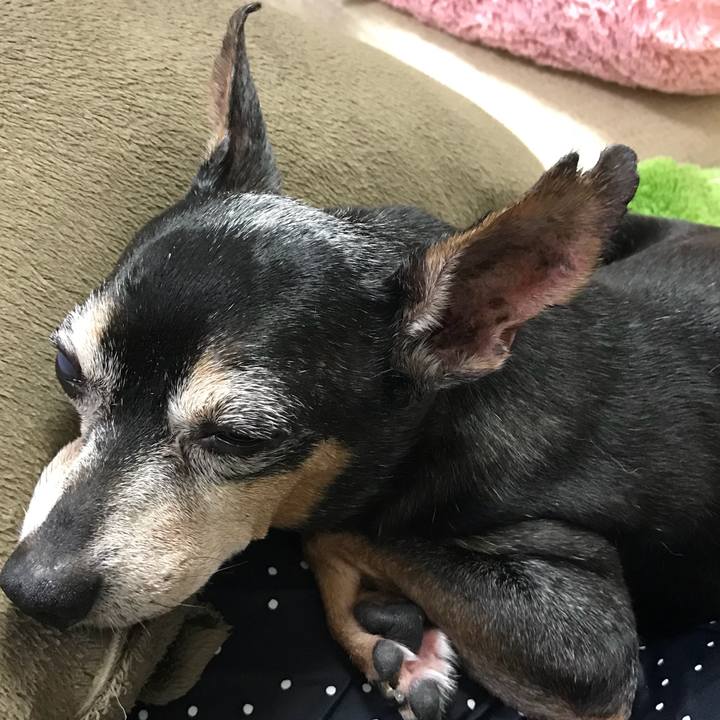 3b61dd51 9ede 490e 9447 4d1bd86392c4 1570249814659