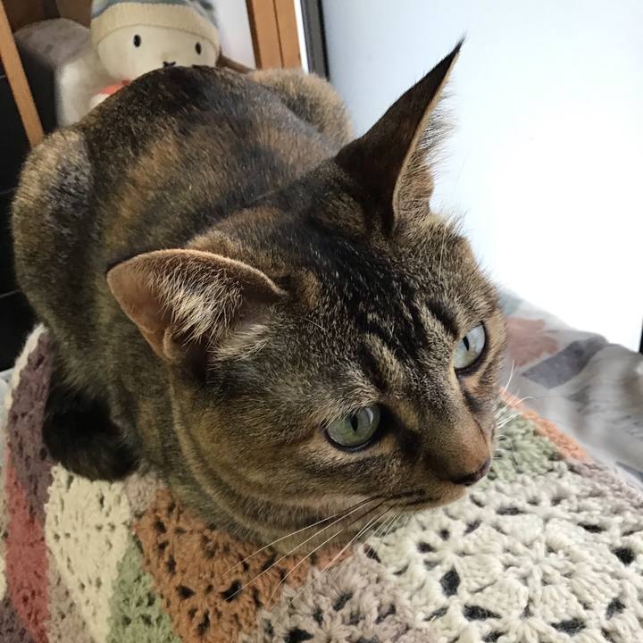 3b61e9c3 d04a 423f 8147 42441798b70d 1644455041806