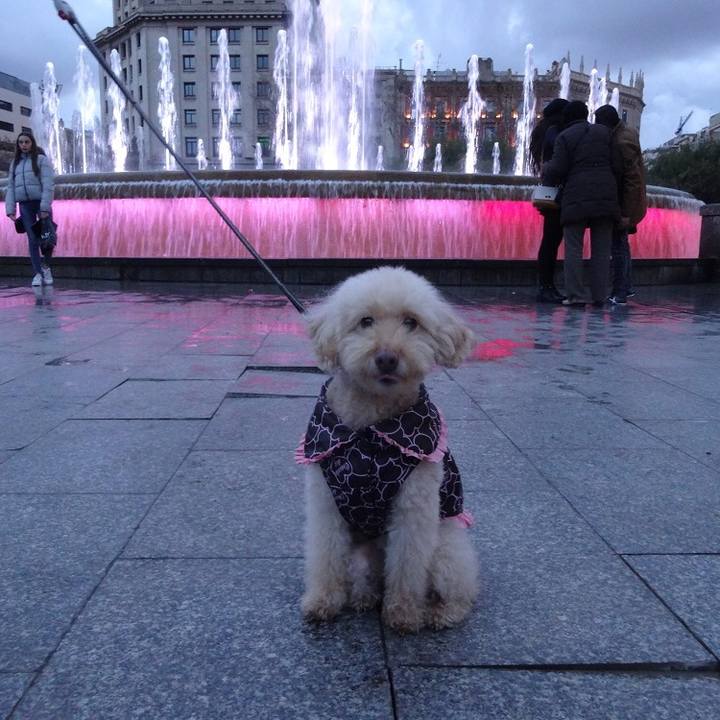 3b620623 f96e 42b4 894b a49c785c5c5e 1515958033442