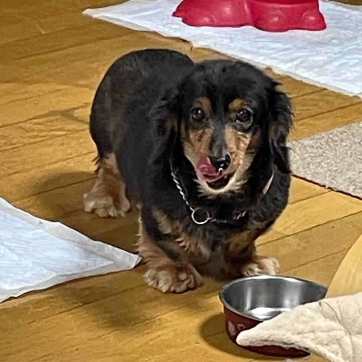 3b620c81 8c45 4755 a8a9 50c35103e789 1612130086730