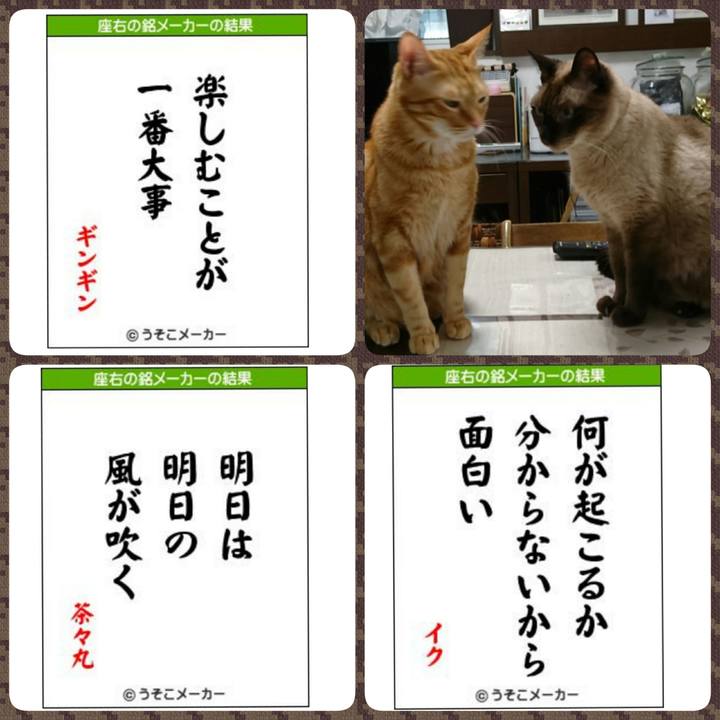 3b620d61 ab5a 4cb5 bb84 5a4fefb19423 1539179383082