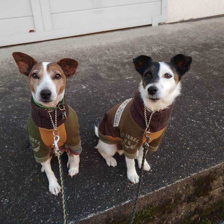 3b625c62 afde 4737 9708 ad8e68d30ff6 1766960340128