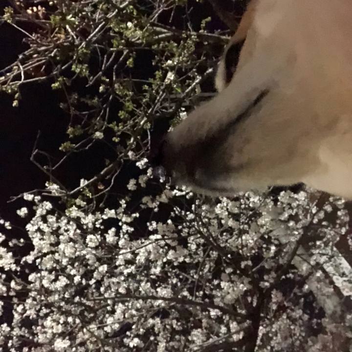 3b629851 29e4 491c bbc6 2c0a6673ee8e 1554107172628