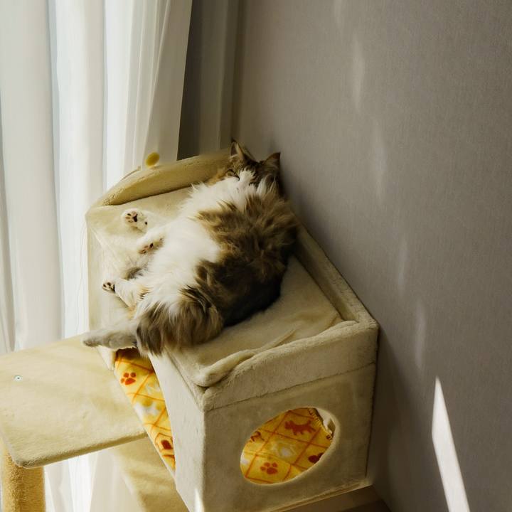 3b62da40 c829 4688 a9ae bac2a4bdb571 1647248771816