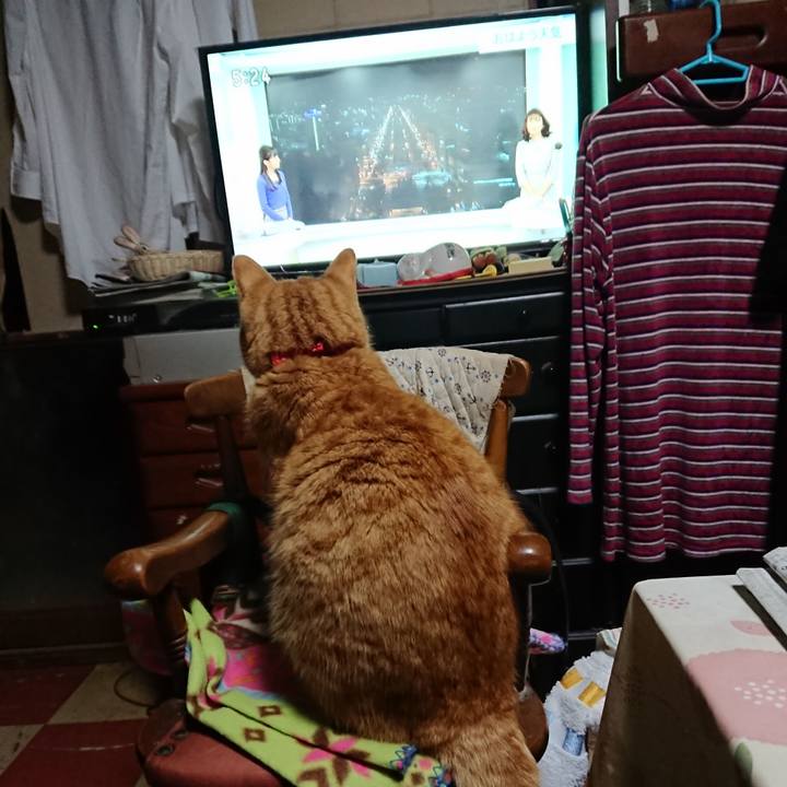 3b62e199 b296 4e73 b6ed 2e37de47233b 1578949516647