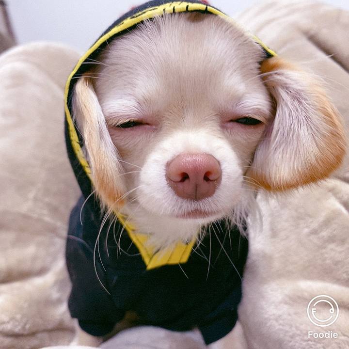 3b62e35f 5a07 44fb 9535 c10879054093 1608554269916