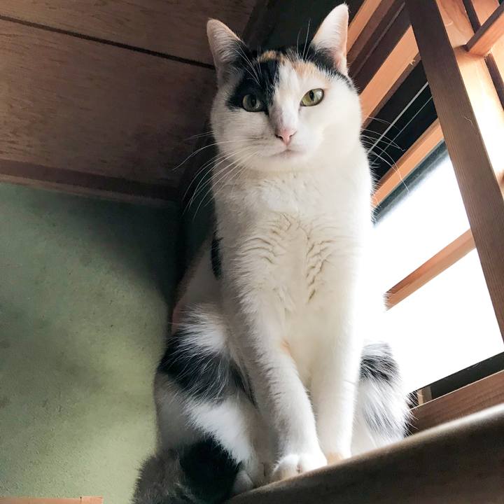 3b62fc88 0dec 46fa abdf db2f3bd86cfa 1521854784399