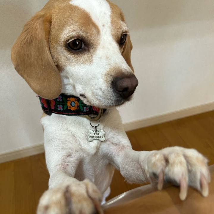 3b630ce3 cbda 4769 988b 65253566fe2f 1698205075904