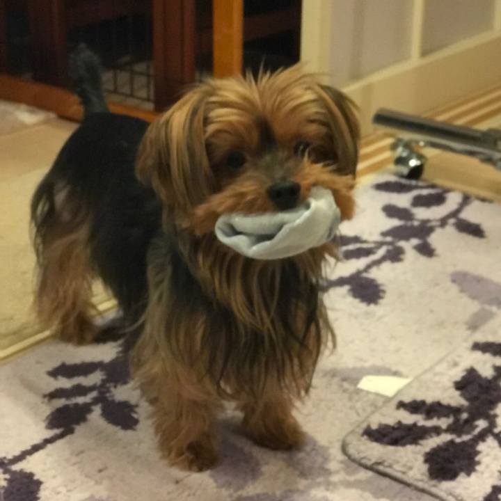 3b6387d2 6707 4daa 87df 4e302cbc0b4b 1523611336031