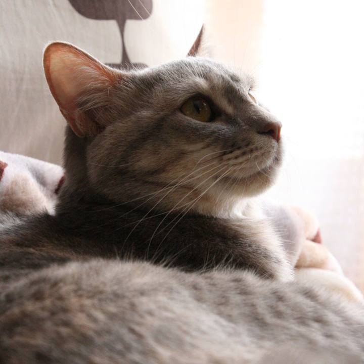 3b638b4a 72d0 42a4 9348 494f5fd8eb89 1523797100848