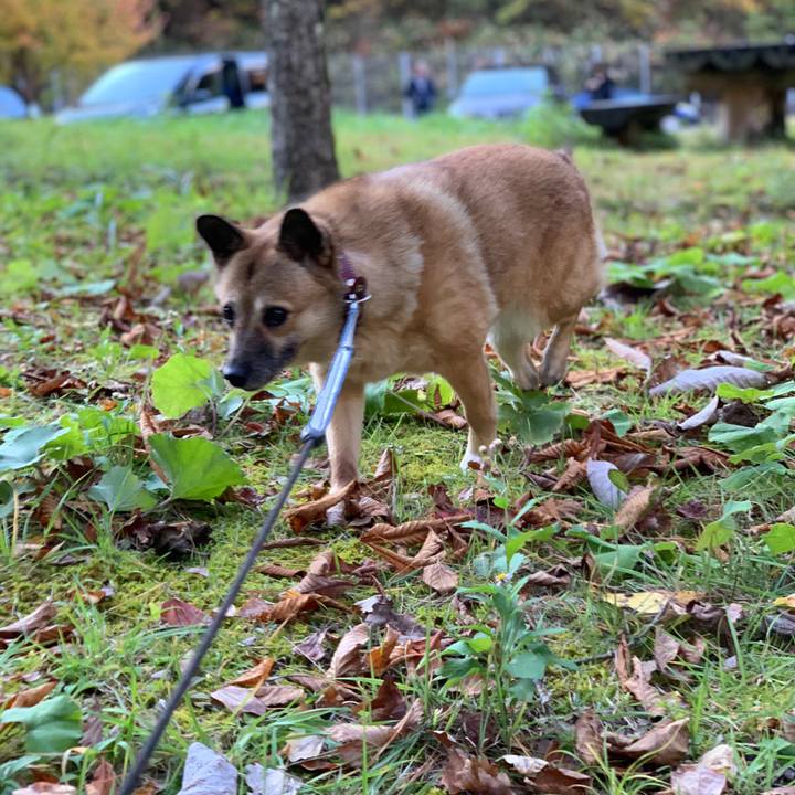 3b6395ba c8a0 4d20 80ff eb1c44309658 1540727760948