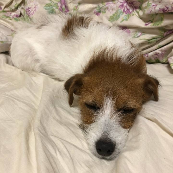 3b63d326 9394 4077 848d 8abaedcad004 1531575195855