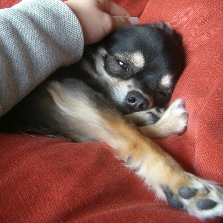 3b63d569 30a3 4837 9fcc c9d753ad3508 1579691509669