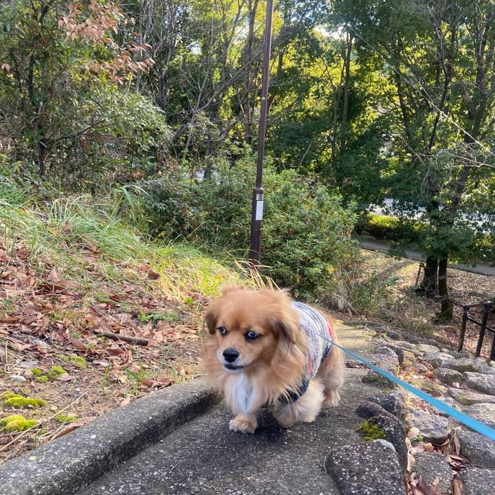 3b63faf3 bdae 4d3e 8336 969f5b56ea0d 1639873418582