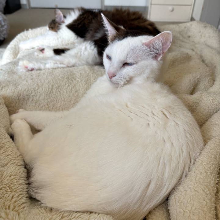 3b642b7e 6585 4ae1 9114 a520d87b8733 1773961307382