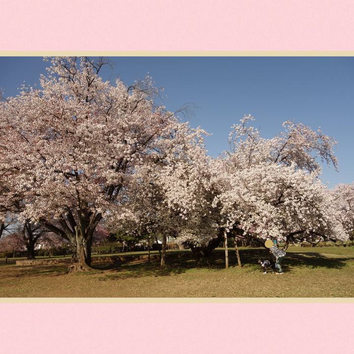 3b646ad4 43ca 4819 b8a4 3e621dea030a 1744158187396