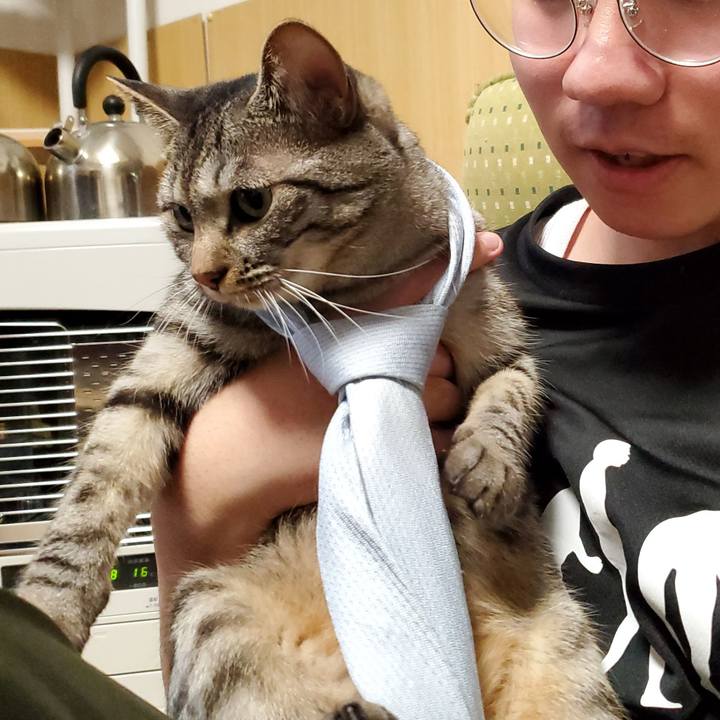 3b651166 9a30 4d63 8d85 487dd1b83bf3 1713232941971