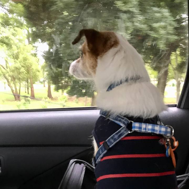 3b651544 d0bf 4e83 86eb ba27d1e11360 1600498207461