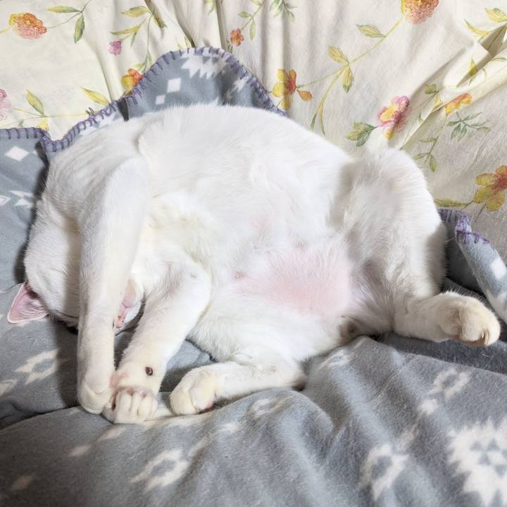 3b651fc4 af82 4fb9 905a ce5aaa209f8c 1675607565169