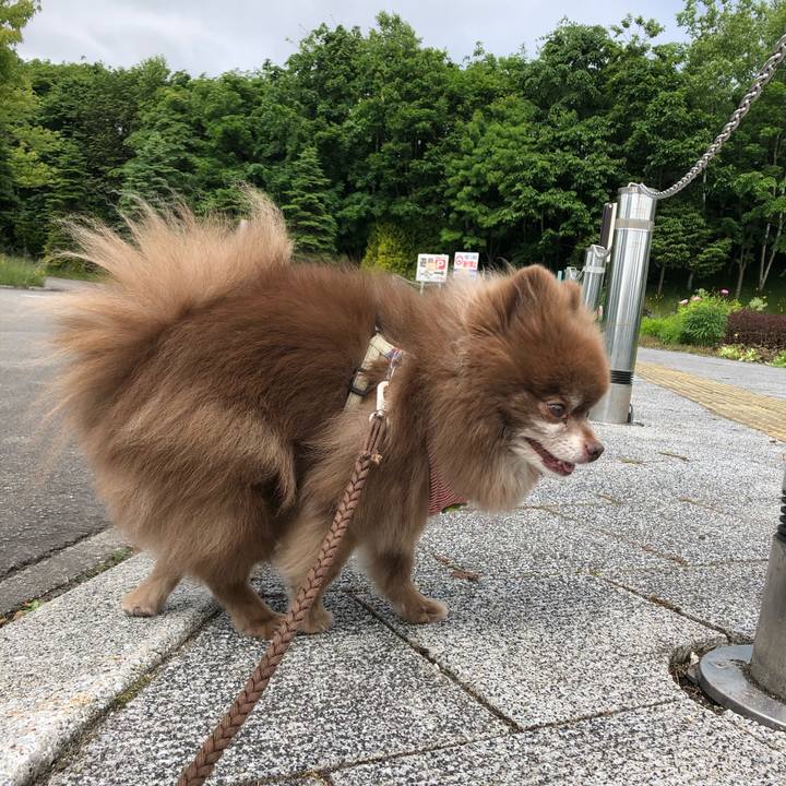 3b652b0c 0b41 4433 b4fb 5622c8214688 1623820430963