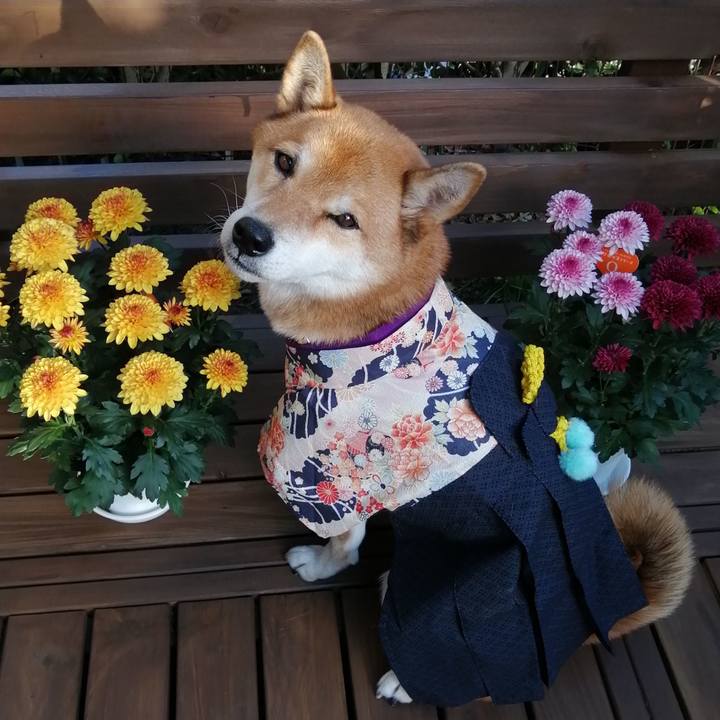 3b654dcf 87ea 4c44 b6b0 25725f6a6530 1604907378774