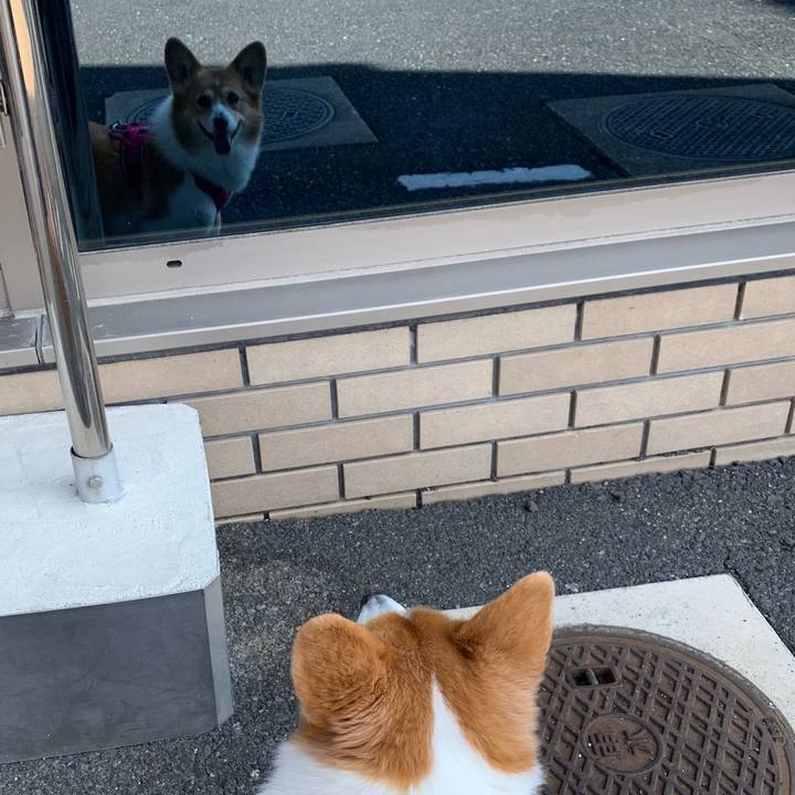 3b655d90 556e 4cca 9325 9a97fb6b9b1d 1710414852812