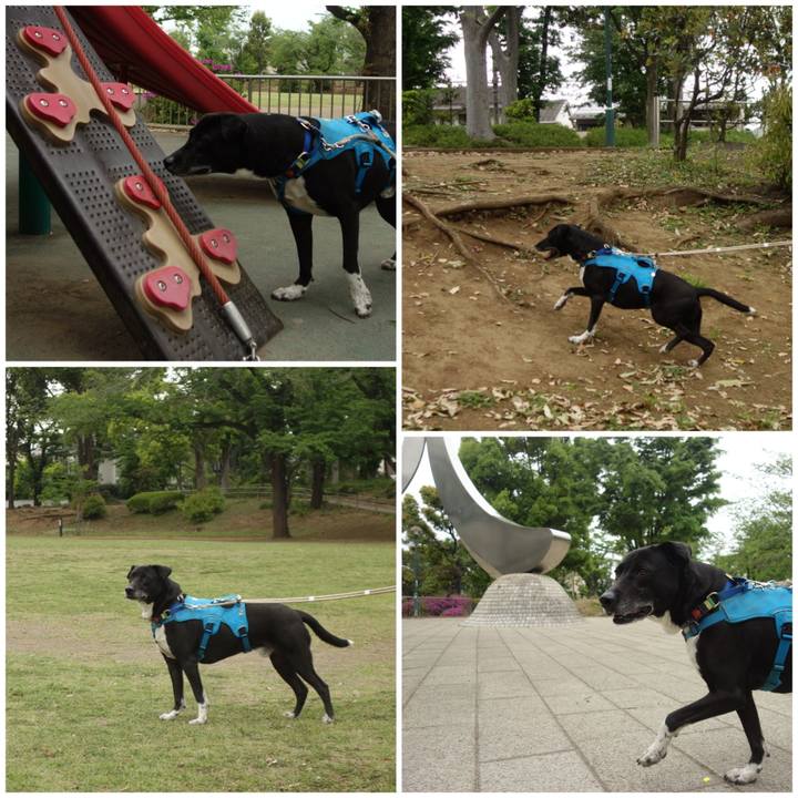 3b65fb86 5feb 4356 ac6d 33baa98e73cb 1682335289337