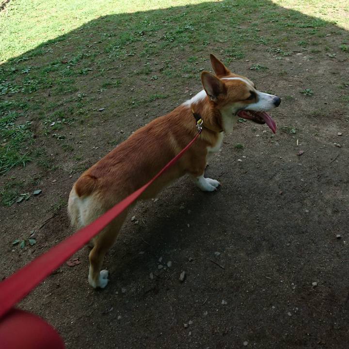 3b6602fc a848 4158 968c ed91f329cf0e 1568556156771