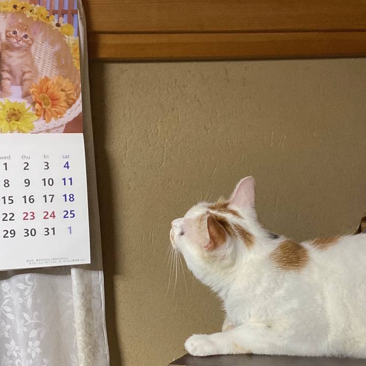 3b660aa7 b7ab 426b a74b c12ea1598a58 1594558810239