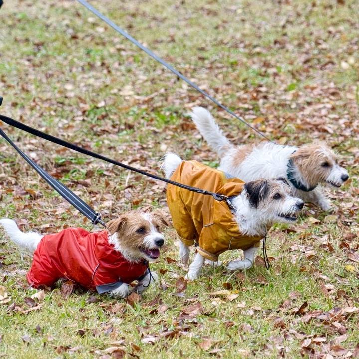 3b661cce 4cf0 4a01 b447 00815eee2d2c 1763906088668