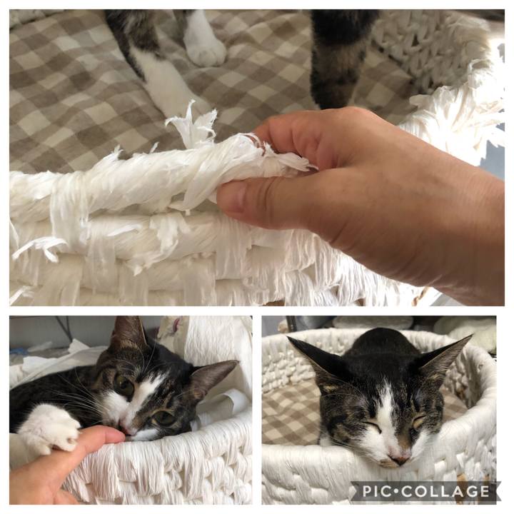 3b6627f8 9ec5 499e bfde 20d212106a4f 1573224854727