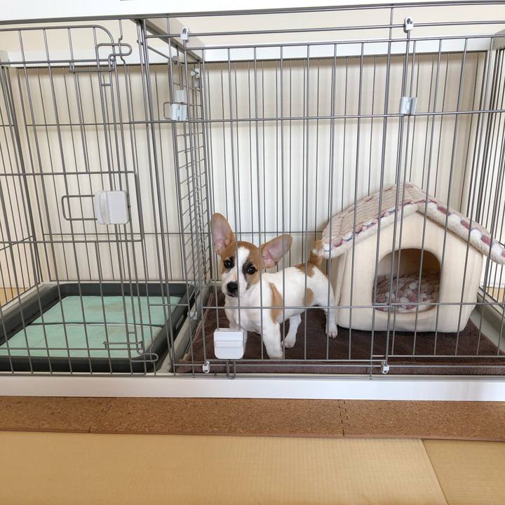 3b667e4f 633f 4057 be38 3435d9561fd6 1547355620678