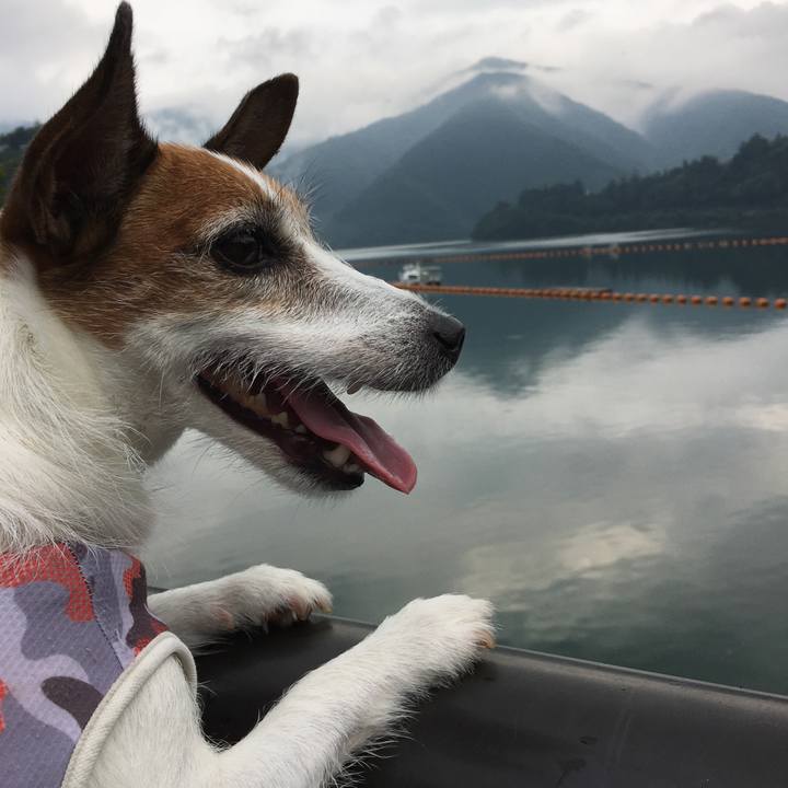 3b667eb2 48a2 4fc4 956a 9406acae75d5 1596241409286