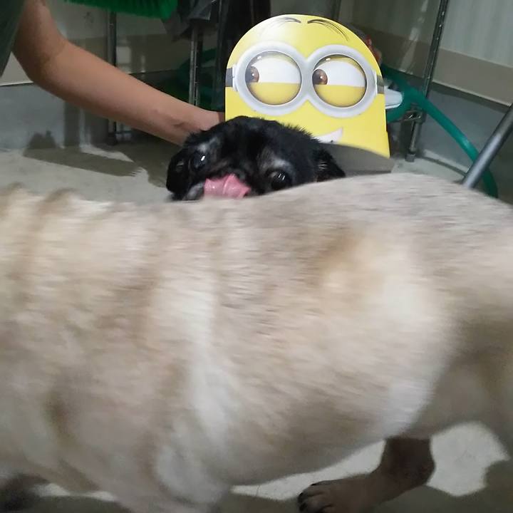 3b66a0d8 3432 4b31 829f 708a97c0ead6 1580413478119