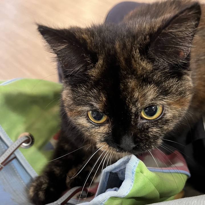 3b66b71b d15c 40e7 b4d8 8d4683b393d9 1763272878555