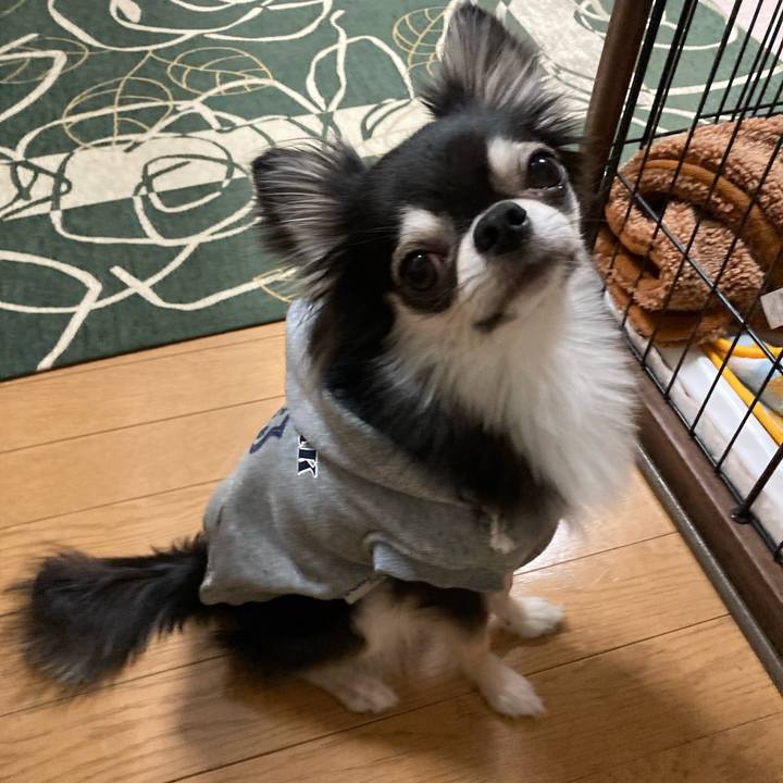 3b66f813 521a 4829 ac77 29597c41bad4 1642862309519