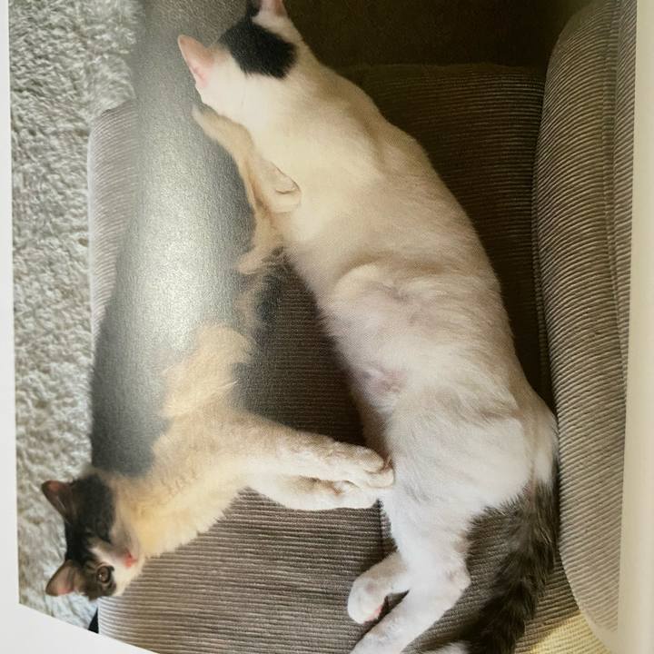 3b671100 de7e 4487 b660 4fea7dc19624 1665355196288