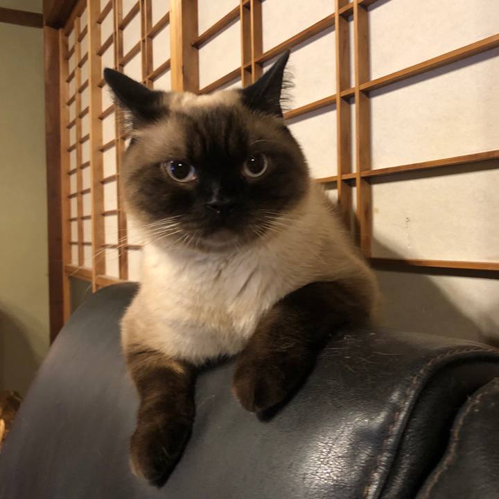 3b67755f e595 455e 961c 72b83bab6d8b 1627557918802