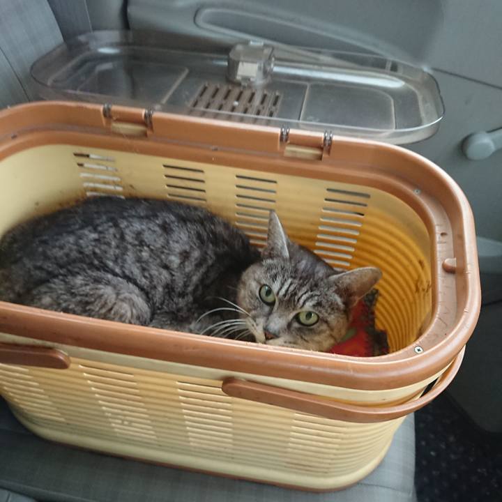 3b67a63f b0fb 4cf1 a9bf 1d49e2b1b4a5 1584172789938