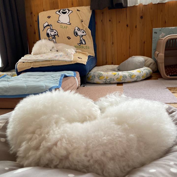 3b67f202 1158 4cd7 a41c 9b43b04e06dd 1655349054610