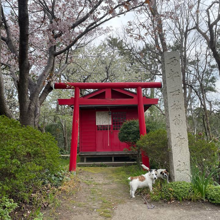 3b68089b b283 4505 99d4 ef02ad65f0bc 1713224576437