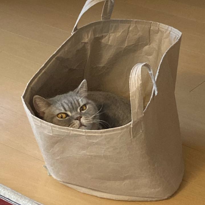 3b6808f1 1ebe 4dee bf81 9caa14561128 1769735564054