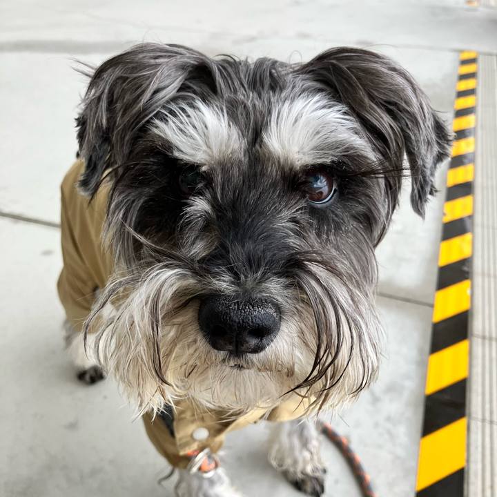 3b682842 24c1 4f0a a5f6 120a83b9fc1a 1770784375277