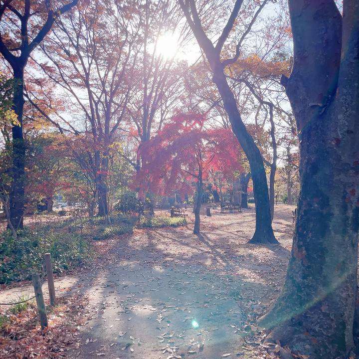 3b68356c be4b 4553 92bb 24709841a2d6 1702120453575