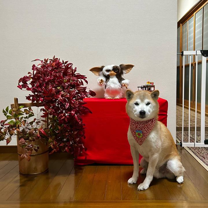 3b6865a5 a7b9 4176 9301 050b0714a965 1766573883672